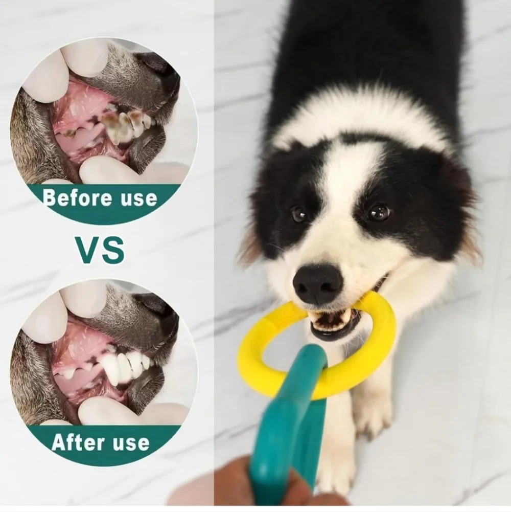 Interactive Dog Chew Toys - Rubber